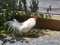 伊勢神宮内宮(皇大神宮)(三重県)