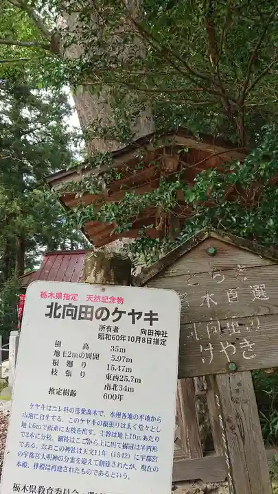 向田神社(栃木県)