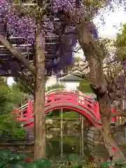 亀戸天神社(東京都)