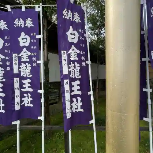 白金龍王社の{uncategorized: "未分類", other: "その他", undefined: "問題あり", building: "その他建物", grave: "お墓", sacred_gate: "鳥居", guardian: "狛犬", statue: "像", buddha: "仏像", history: "歴史", nature: "自然", garden: "庭園", animal: "動物", pagoda: "塔", temizu: "手水舎", mountain_gate: "山門・神門", sanctuary: "本殿・本堂", subordinate: "末社・摂社", art: "芸術", scenery: "景色", jizo: "地蔵", ema: "絵馬", goshuin: "御朱印", omikuji: "おみくじ", items: "授与品その他", amulet: "お守り", goshuincho: "御朱印帳", eats: "食事", festival: "お祭り", votive_dance: "神楽", shichigosan: "七五三参", wedding: "結婚式", experience: "体験その他", initially: "初詣", around: "周辺", anti_infection: "感染症対策"}