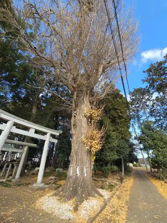 弓田香取神社(茨城県)