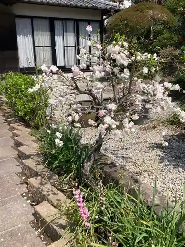 来迎寺（西御門）(神奈川県)