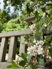 佐野八幡神社の自然