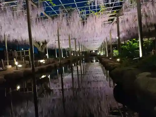 津島神社の周辺