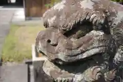 大祭天石門彦神社（三宮神社）の狛犬