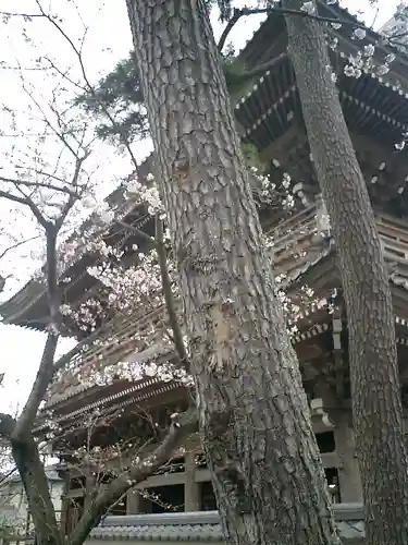 光明寺の山門