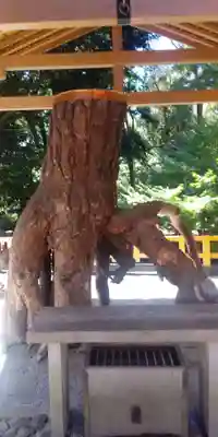 伏見稲荷大社のその他建物