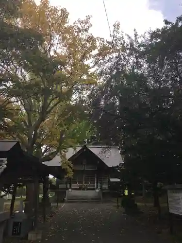 大麻神社の本殿・本堂
