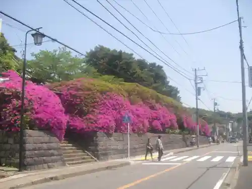 安養院　(田代寺）の周辺