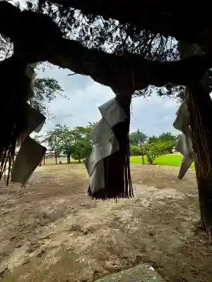 須賀神社(宮城県)