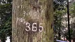 大仙神社(兵庫県)