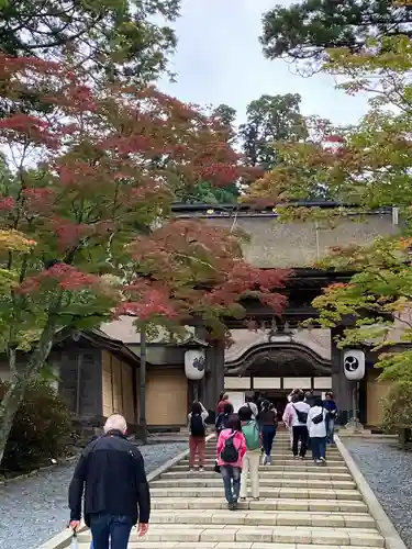 高野山金剛峯寺(和歌山県)