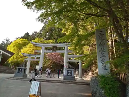 三峯神社の鳥居