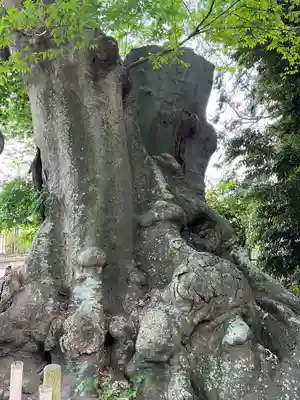 雀神社(茨城県)