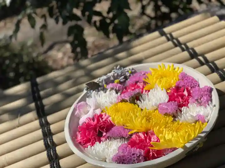 徳星寺(埼玉県)