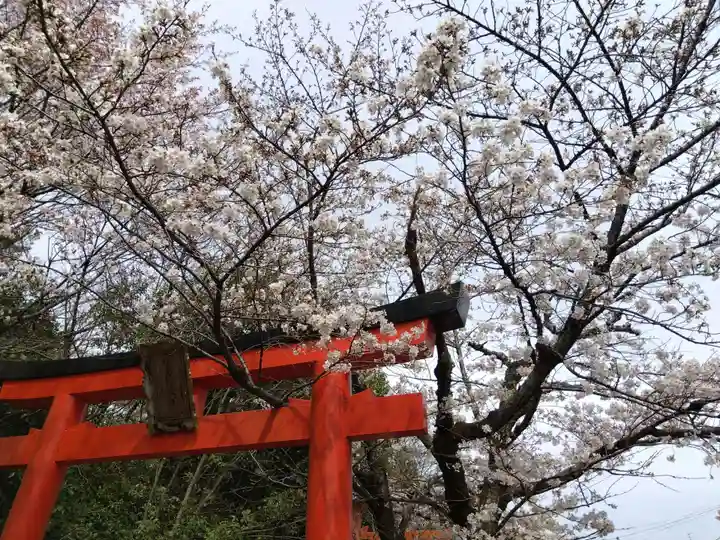 竹中稲荷神社(吉田神社末社)(京都府)