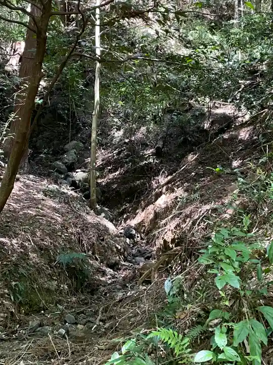 小國神社の{uncategorized: "未分類", other: "その他", undefined: "問題あり", building: "その他建物", grave: "お墓", sacred_gate: "鳥居", guardian: "狛犬", statue: "像", buddha: "仏像", history: "歴史", nature: "自然", garden: "庭園", animal: "動物", pagoda: "塔", temizu: "手水舎", mountain_gate: "山門・神門", sanctuary: "本殿・本堂", subordinate: "末社・摂社", art: "芸術", scenery: "景色", jizo: "地蔵", ema: "絵馬", goshuin: "御朱印", omikuji: "おみくじ", items: "授与品その他", amulet: "お守り", goshuincho: "御朱印帳", eats: "食事", festival: "お祭り", votive_dance: "神楽", shichigosan: "七五三参", wedding: "結婚式", experience: "体験その他", initially: "初詣", around: "周辺", anti_infection: "感染症対策"}