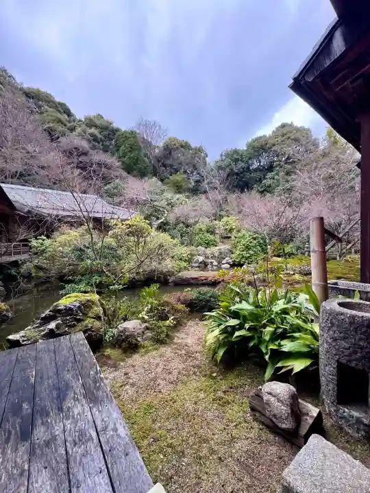 実相院門跡の{uncategorized: "未分類", other: "その他", undefined: "問題あり", building: "その他建物", grave: "お墓", sacred_gate: "鳥居", guardian: "狛犬", statue: "像", buddha: "仏像", history: "歴史", nature: "自然", garden: "庭園", animal: "動物", pagoda: "塔", temizu: "手水舎", mountain_gate: "山門・神門", sanctuary: "本殿・本堂", subordinate: "末社・摂社", art: "芸術", scenery: "景色", jizo: "地蔵", ema: "絵馬", goshuin: "御朱印", omikuji: "おみくじ", items: "授与品その他", amulet: "お守り", goshuincho: "御朱印帳", eats: "食事", festival: "お祭り", votive_dance: "神楽", shichigosan: "七五三参", wedding: "結婚式", experience: "体験その他", initially: "初詣", around: "周辺", anti_infection: "感染症対策"}