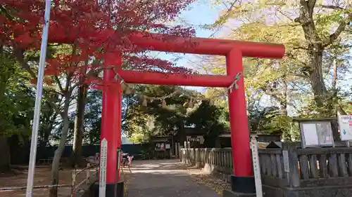 本太氷川神社の鳥居