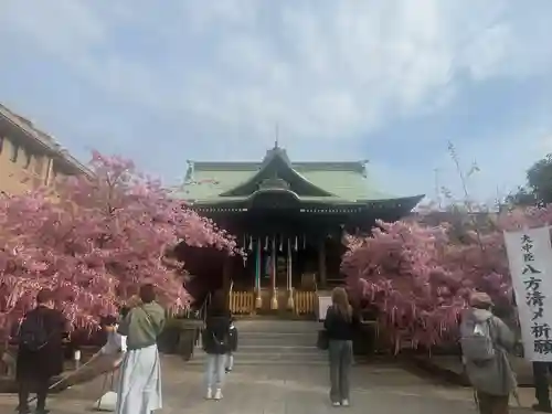 桜神宮(東京都)