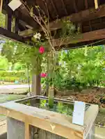 赤坂氷川神社(東京都)