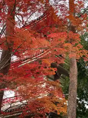 輪王寺(宮城県)