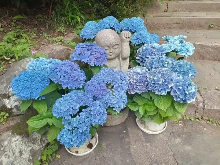 岡寺(龍蓋寺)(奈良県)