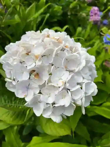 熊野那智大社(和歌山県)