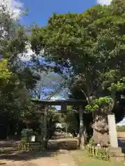 畑子安神社の鳥居