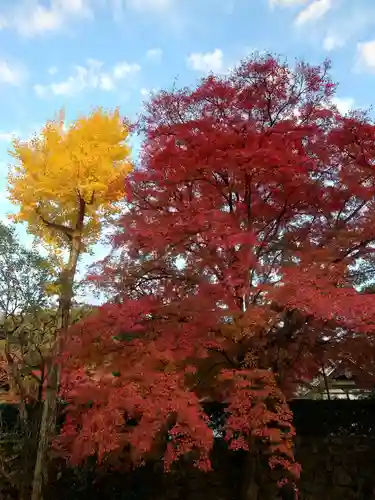 南禅寺(京都府)