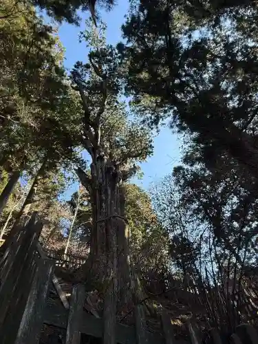 玉置神社(奈良県)