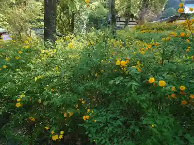 松尾大社(京都府)