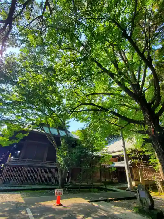 宇都宮二荒山神社(栃木県)