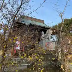 板倉雷電神社の自然