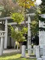深川神社の鳥居