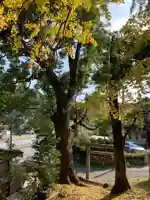 大宮神社の自然