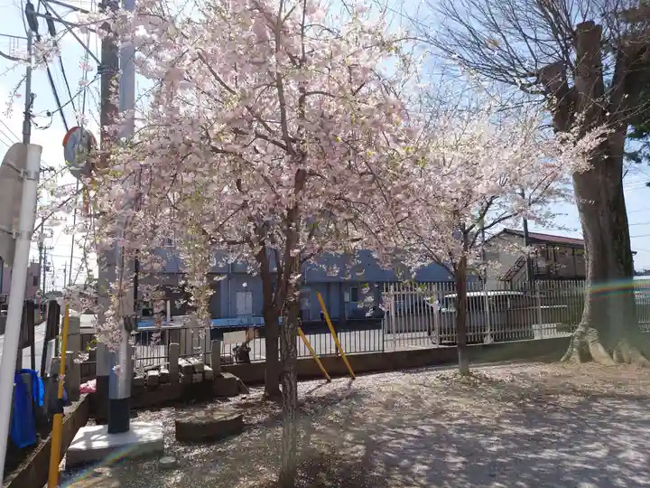 坂戸神社の自然