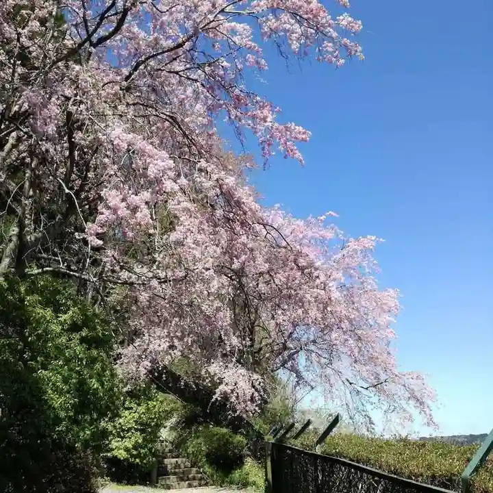 高館義経堂の自然