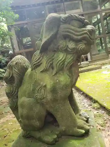 上堂神社の狛犬