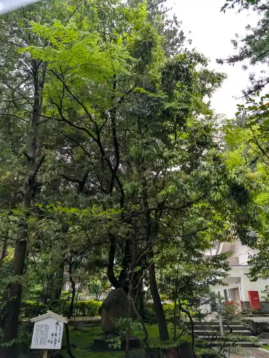 白山比咩神社の{uncategorized: "未分類", other: "その他", undefined: "問題あり", building: "その他建物", grave: "お墓", sacred_gate: "鳥居", guardian: "狛犬", statue: "像", buddha: "仏像", history: "歴史", nature: "自然", garden: "庭園", animal: "動物", pagoda: "塔", temizu: "手水舎", mountain_gate: "山門・神門", sanctuary: "本殿・本堂", subordinate: "末社・摂社", art: "芸術", scenery: "景色", jizo: "地蔵", ema: "絵馬", goshuin: "御朱印", omikuji: "おみくじ", items: "授与品その他", amulet: "お守り", goshuincho: "御朱印帳", eats: "食事", festival: "お祭り", votive_dance: "神楽", shichigosan: "七五三参", wedding: "結婚式", experience: "体験その他", initially: "初詣", around: "周辺", anti_infection: "感染症対策"}