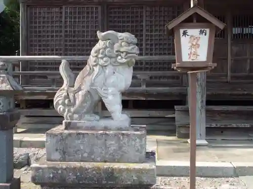 小鎚神社の狛犬