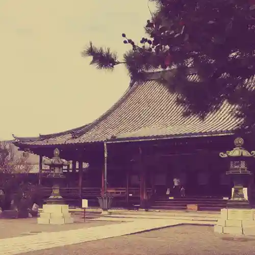 大通寺（長浜御坊）の本殿