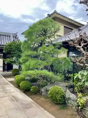 大泉寺(東京都)