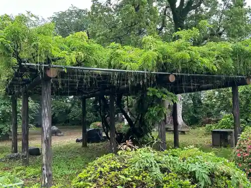 天津神社(新潟県)