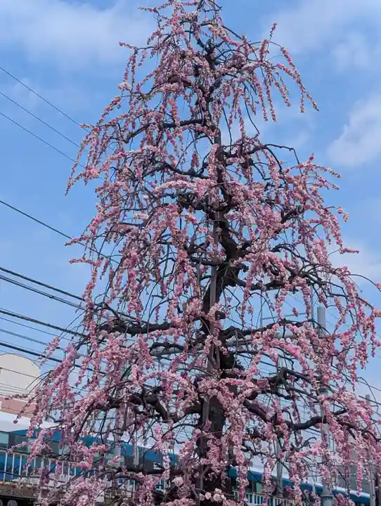 慶運寺(神奈川県)
