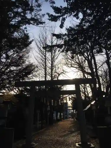 新琴似神社の鳥居