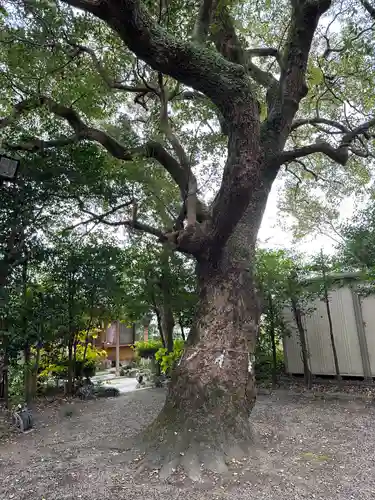 畠田神社(三重県)