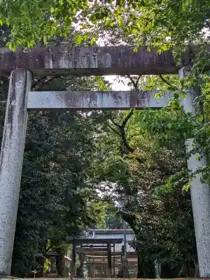猪毛利谷神社の{uncategorized: "未分類", other: "その他", undefined: "問題あり", building: "その他建物", grave: "お墓", sacred_gate: "鳥居", guardian: "狛犬", statue: "像", buddha: "仏像", history: "歴史", nature: "自然", garden: "庭園", animal: "動物", pagoda: "塔", temizu: "手水舎", mountain_gate: "山門・神門", sanctuary: "本殿・本堂", subordinate: "末社・摂社", art: "芸術", scenery: "景色", jizo: "地蔵", ema: "絵馬", goshuin: "御朱印", omikuji: "おみくじ", items: "授与品その他", amulet: "お守り", goshuincho: "御朱印帳", eats: "食事", festival: "お祭り", votive_dance: "神楽", shichigosan: "七五三参", wedding: "結婚式", experience: "体験その他", initially: "初詣", around: "周辺", anti_infection: "感染症対策"}