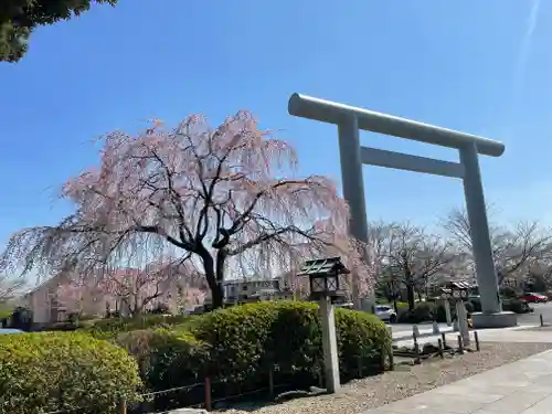 櫻木神社の鳥居