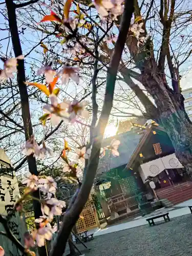 北海道神宮頓宮(北海道)